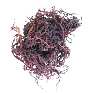 Herbal Remedies223726 nobg